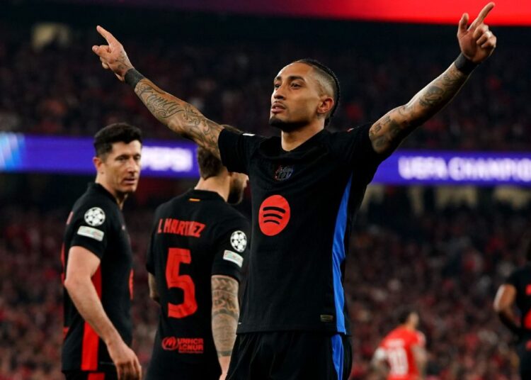 গোলদাতা রাফিনিয়া