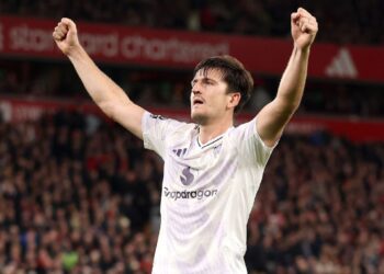 হ্যারি মাগুয়ার