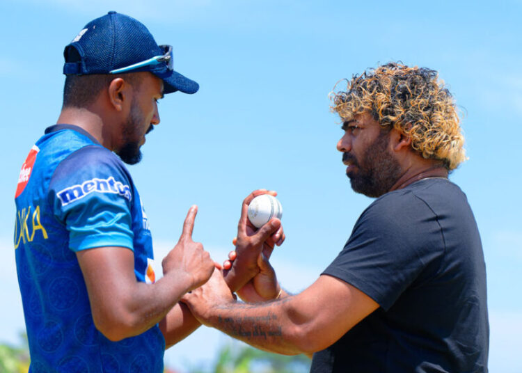 পেস বোলিং পরামর্শক হলেন লাসিথ মালিঙ্গা