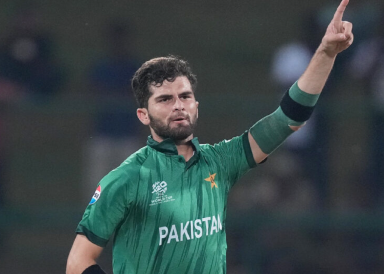 ভাগ্য নিজেদের হাতে নেই - শাহিন শাহ