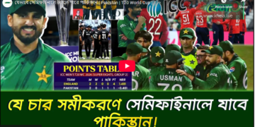 যেভাবে সেমিফাইনালে উঠতে পারে পাকিস্তান