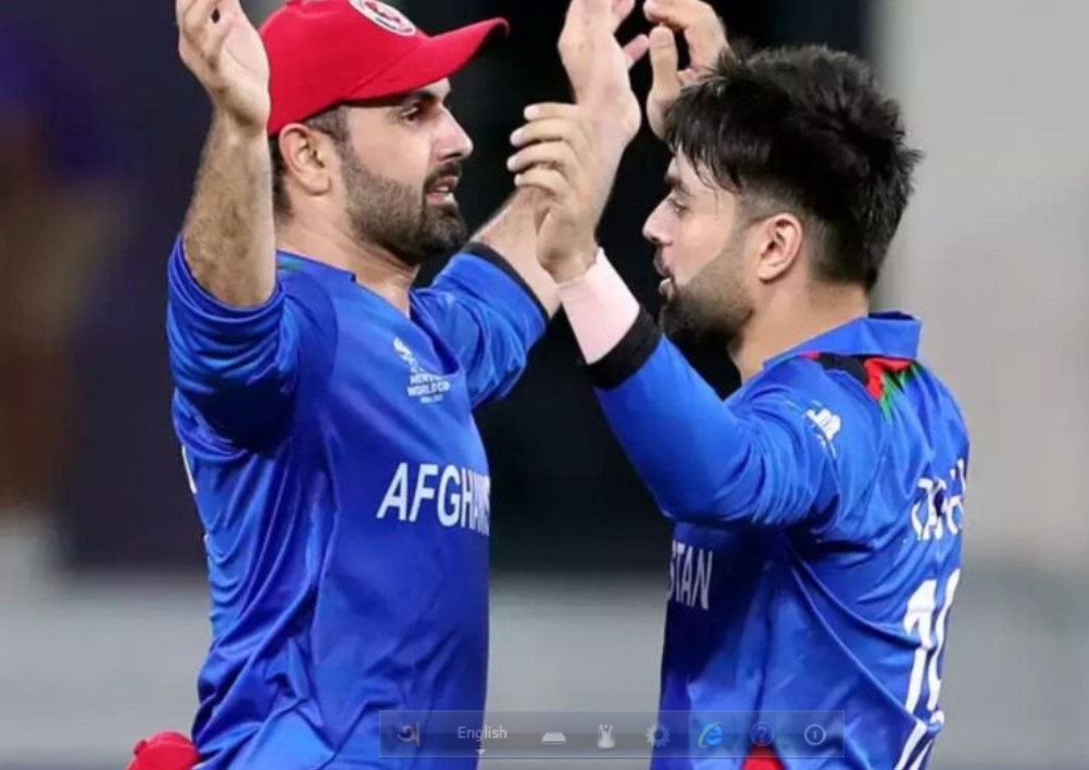 রশিদ-নবীদের লাগাম টানল বোর্ড