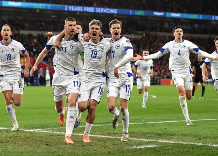 এডিন জেকোর গোলের পর বসনিয়ার খেলোয়াড়রা