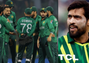 পিসিবির নির্বাচকদের বেশি জরিমানা করা উচিত - আমির